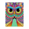 Trademark Fine Art Hello Angel 'Rainbow Hoot' Canvas Art, 18x24 ALI35817-C1824GG